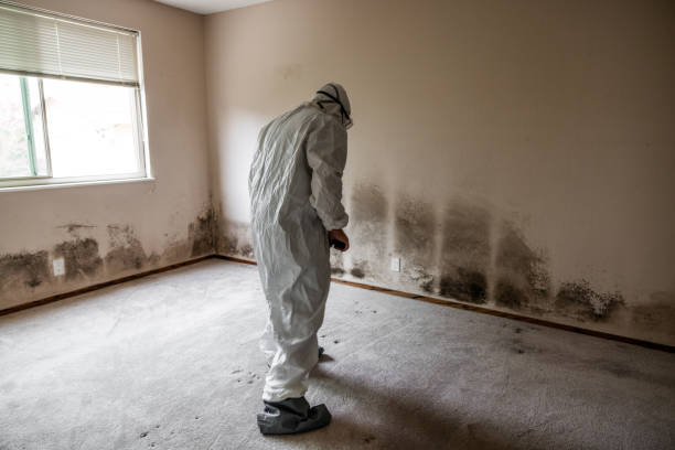 Best Residential Mold Removal  in Mansfield, MO