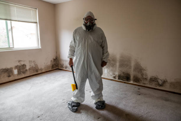 Best Mold Remediation  in Mansfield, MO